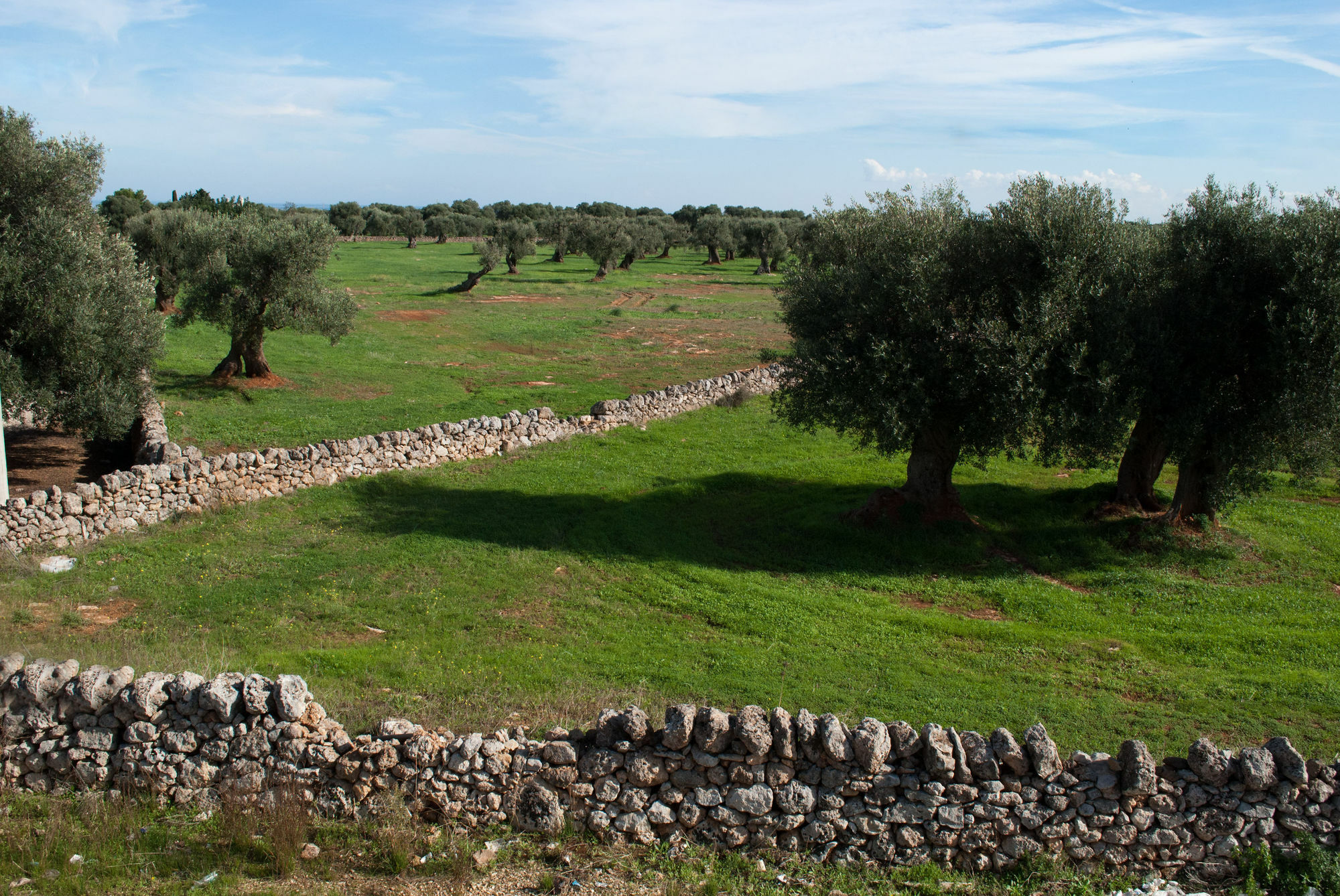 Masseria Lama D'Impisa 法萨诺 外观 照片